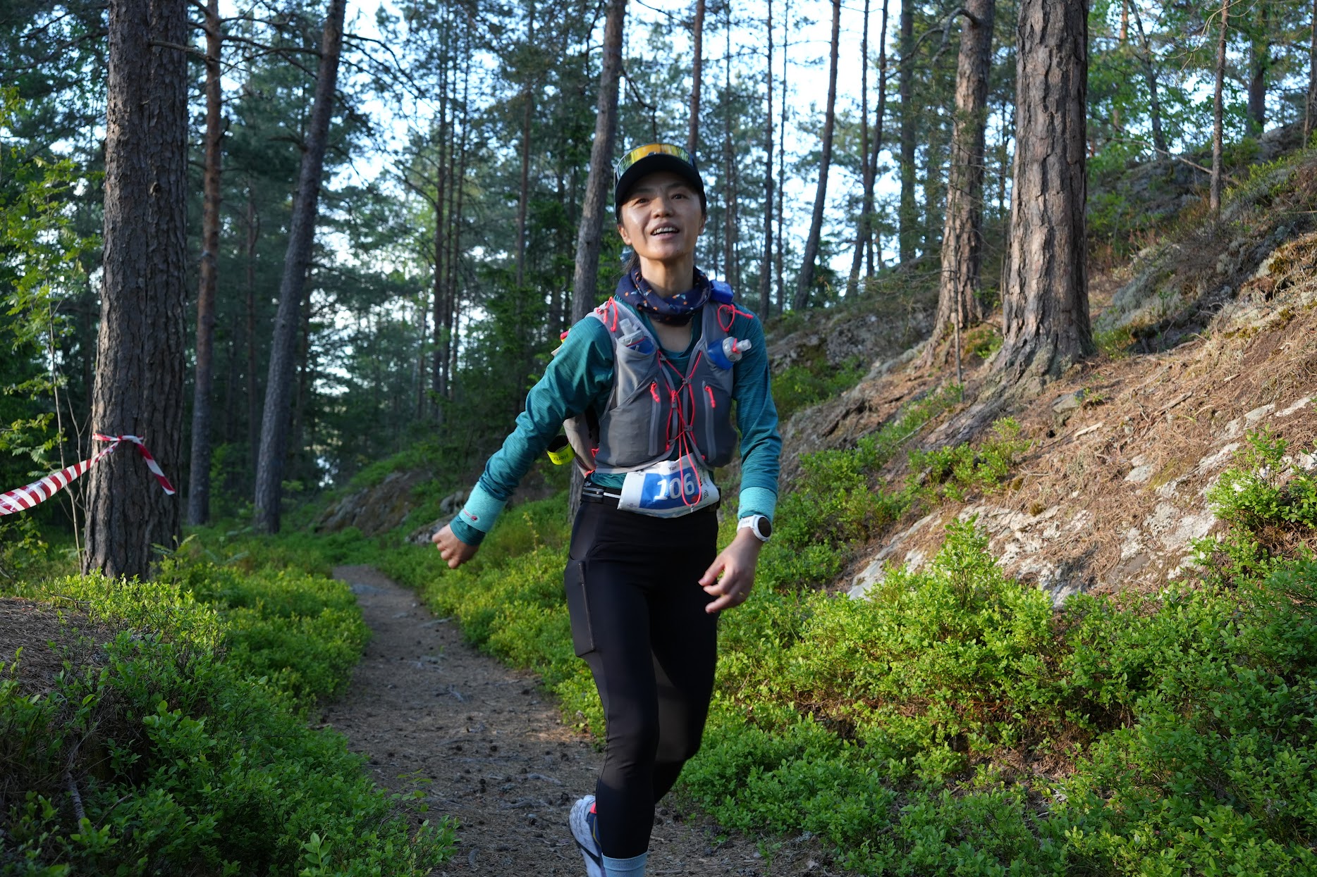 Skogsti i tåke